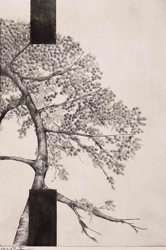 Baum